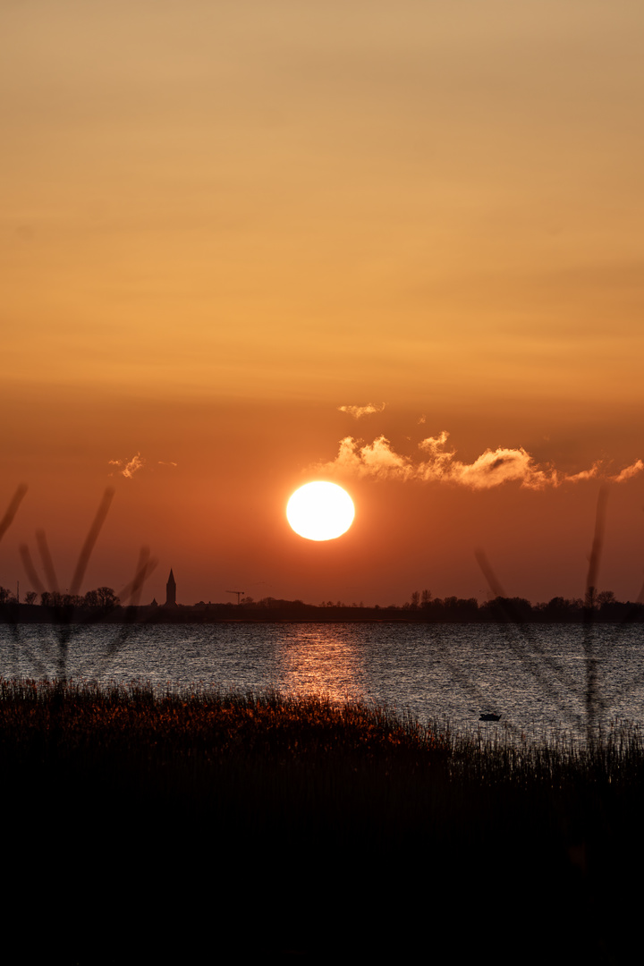 Sonnenuntergang am Bodden