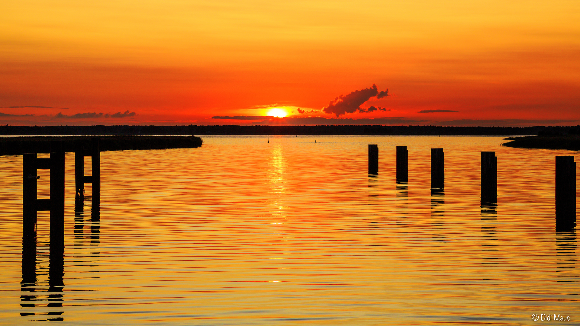 Sonnenuntergang am Bodden