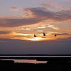 Sonnenuntergang am Bodden