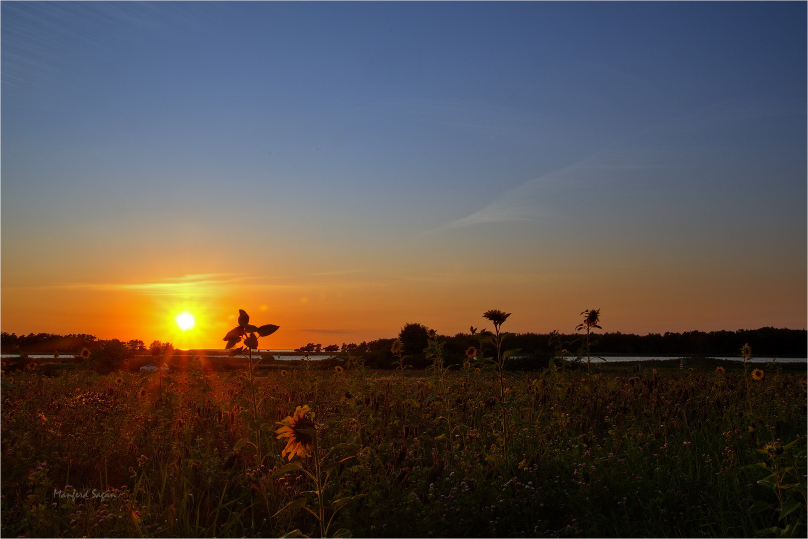 Sonnenuntergang am Bodden