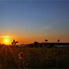 Sonnenuntergang am Bodden