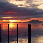 Sonnenuntergang am Bodden