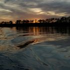 Sonnenuntergang am Bodden (Zingst)