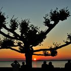 Sonnenuntergang am Bodensee