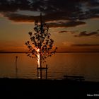 Sonnenuntergang am Bodensee 