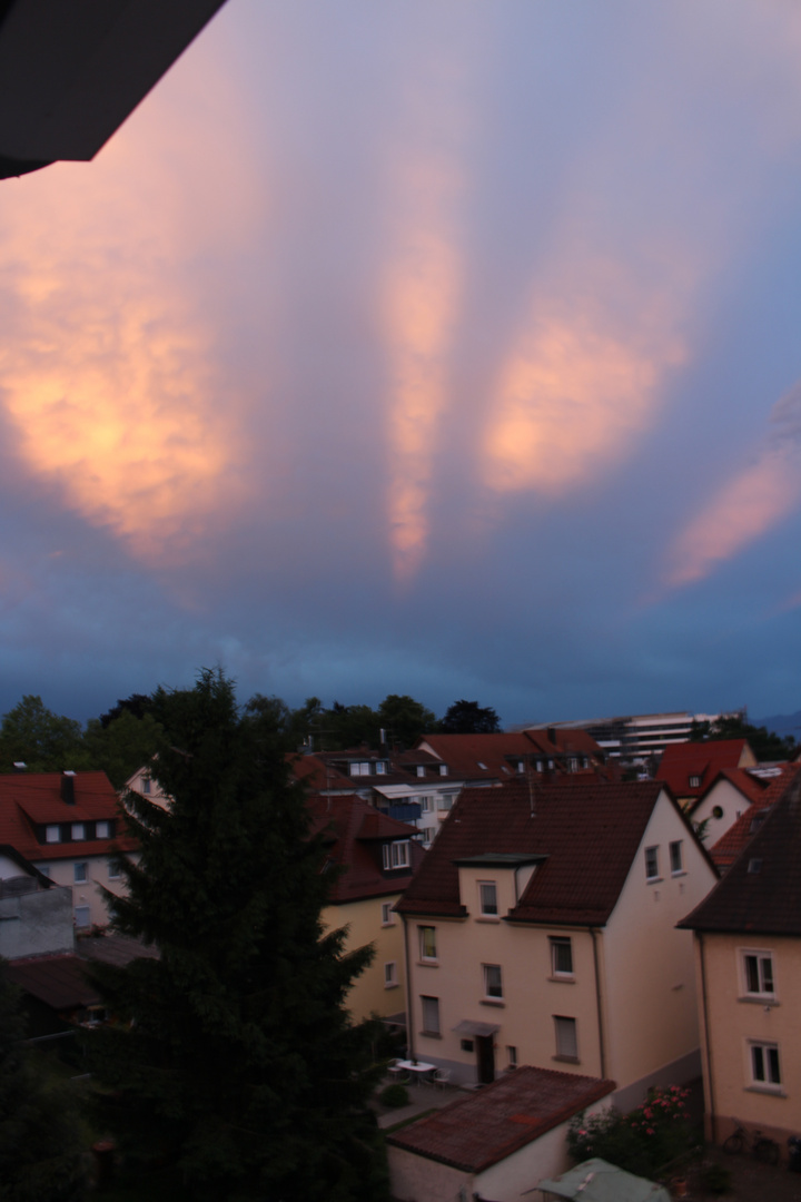 Sonnenuntergang am Bodensee 1