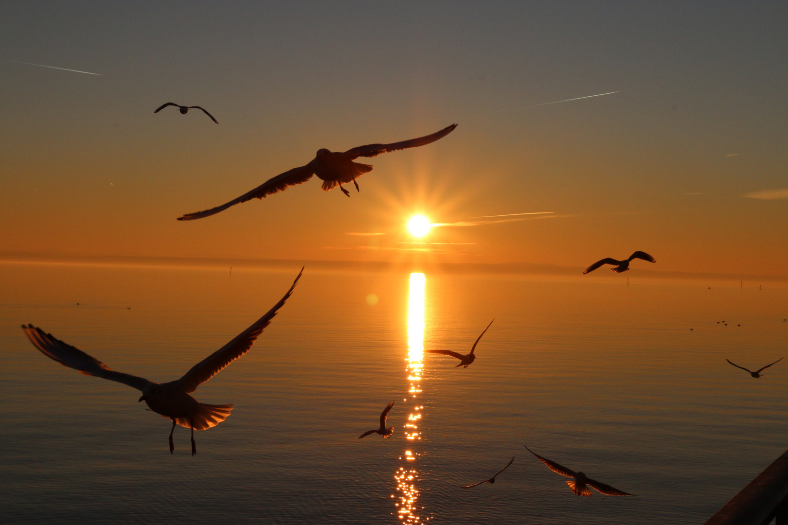 Sonnenuntergang am Bodensee