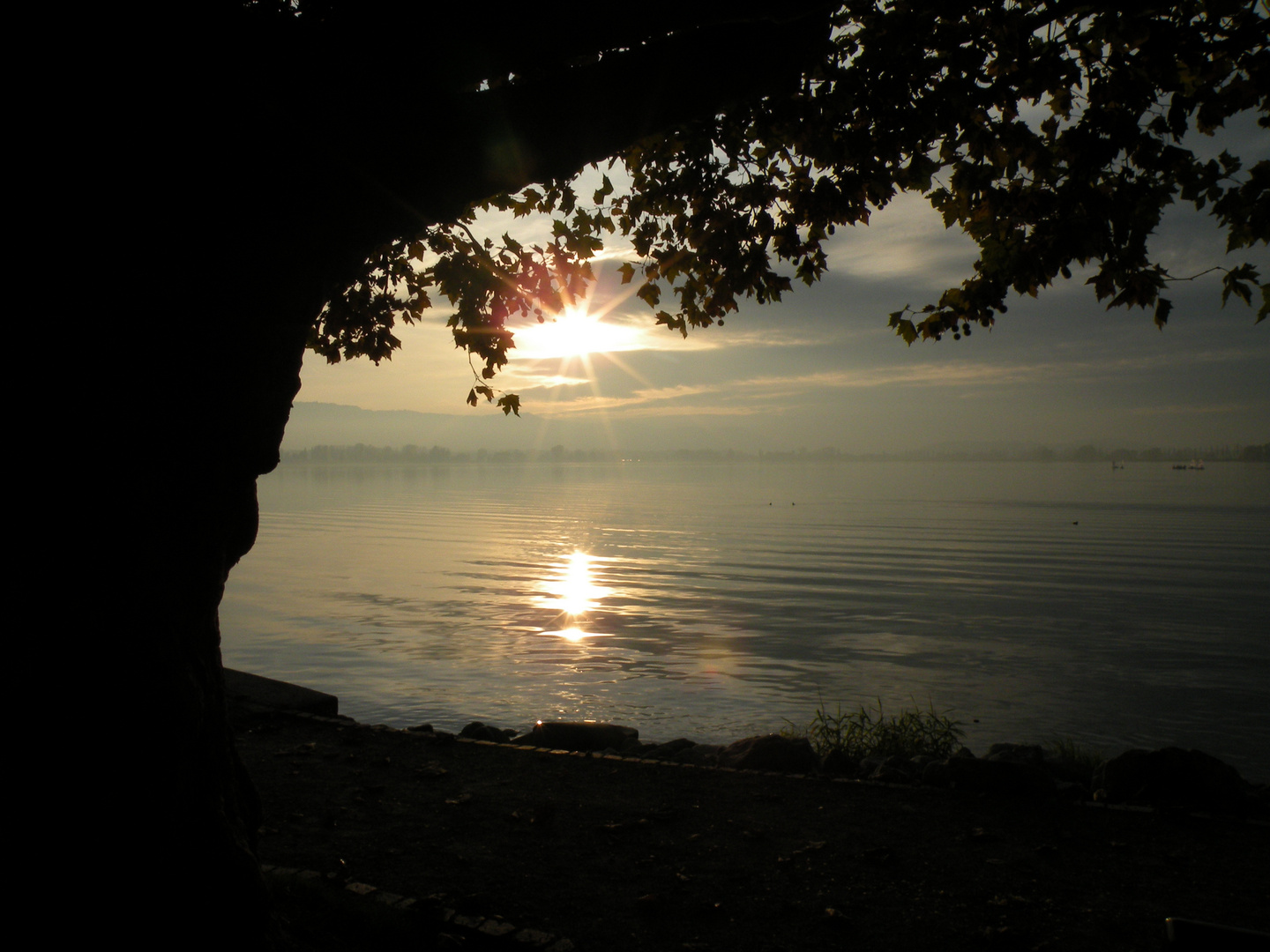 Sonnenuntergang am Bodensee 2