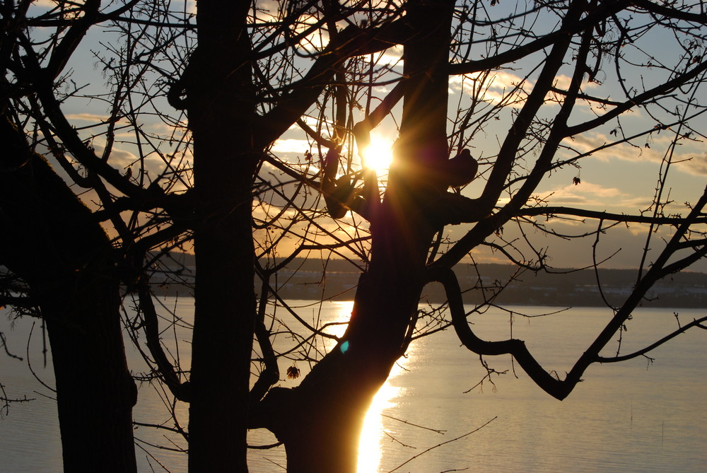 Sonnenuntergang am Bodensee