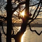 Sonnenuntergang am Bodensee