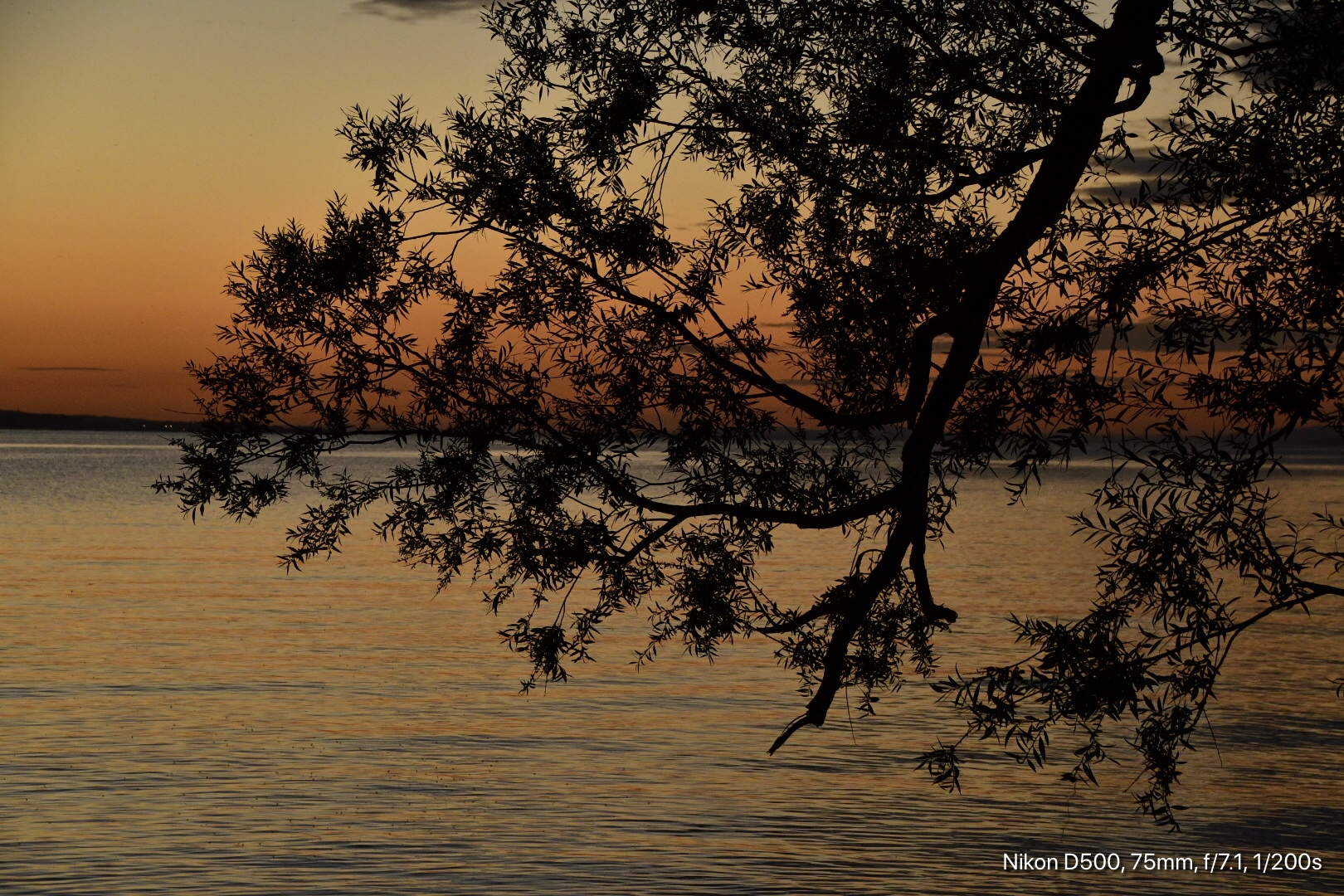 Sonnenuntergang am Bodensee