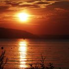 - Sonnenuntergang am Bodensee -