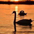 Sonnenuntergang am Bodensee