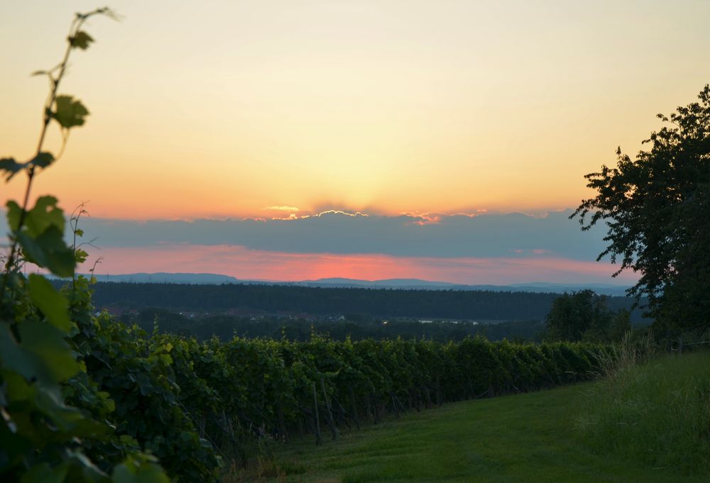 Sonnenuntergang am Bodensee