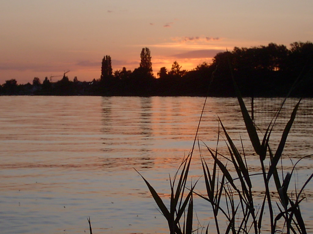 Sonnenuntergang am Bodensee