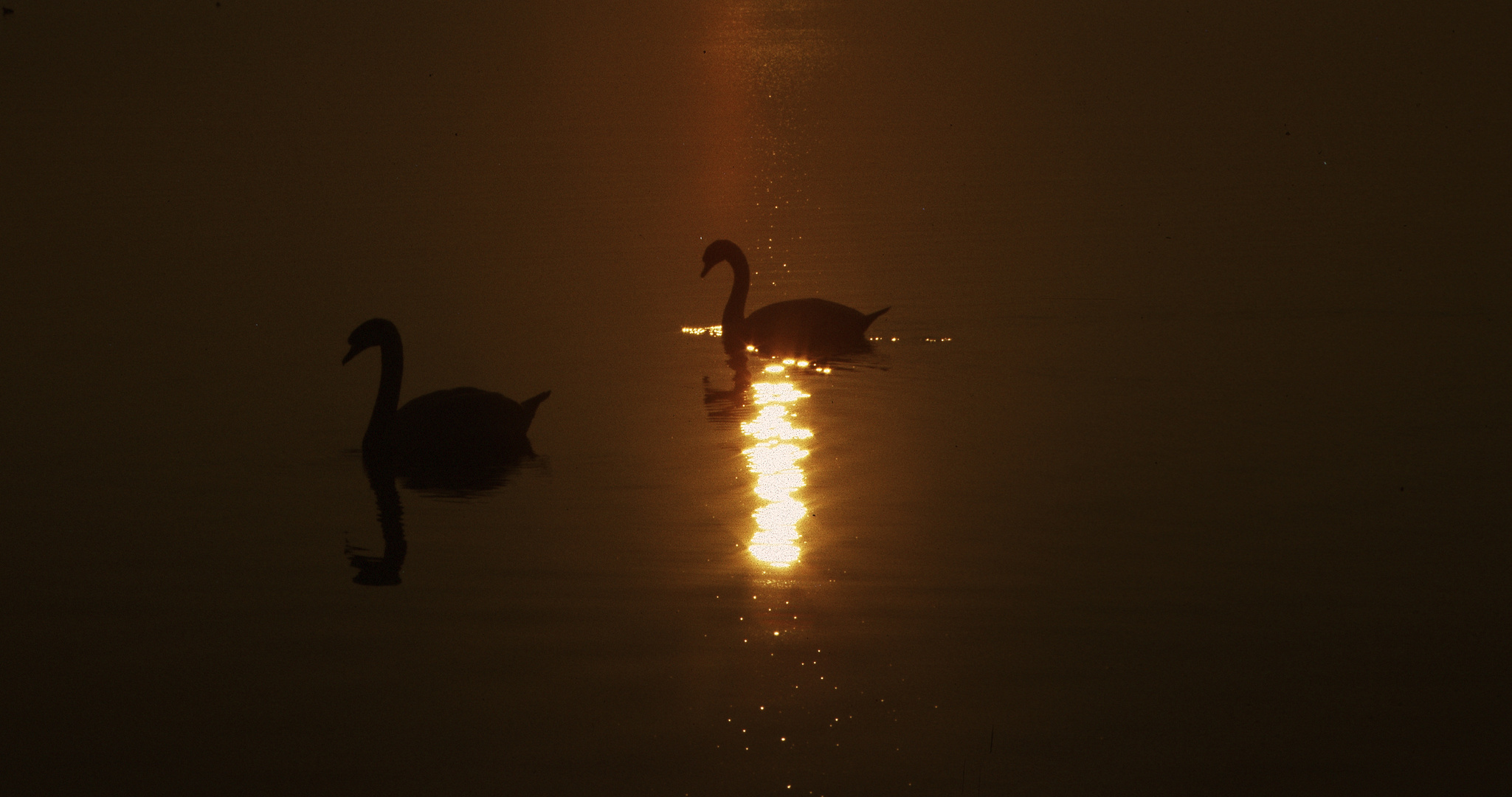 Sonnenuntergang am Bodensee