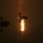 Sonnenuntergang am Bodensee