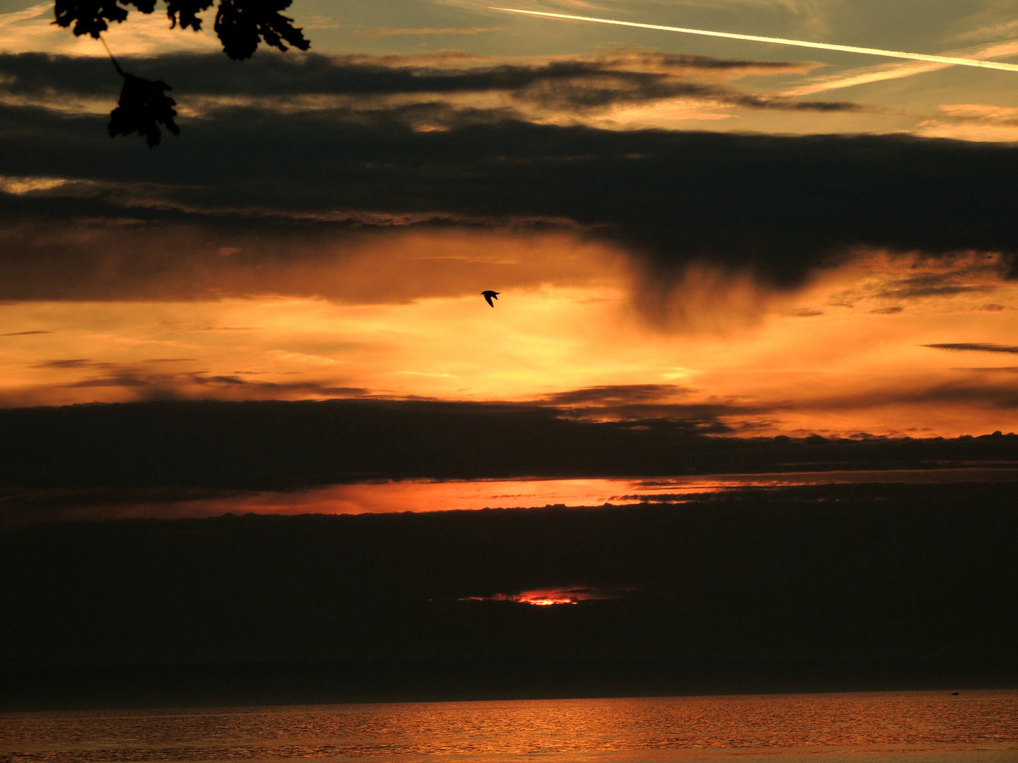 Sonnenuntergang am Bodensee