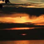 Sonnenuntergang am Bodensee