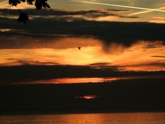 Sonnenuntergang am Bodensee