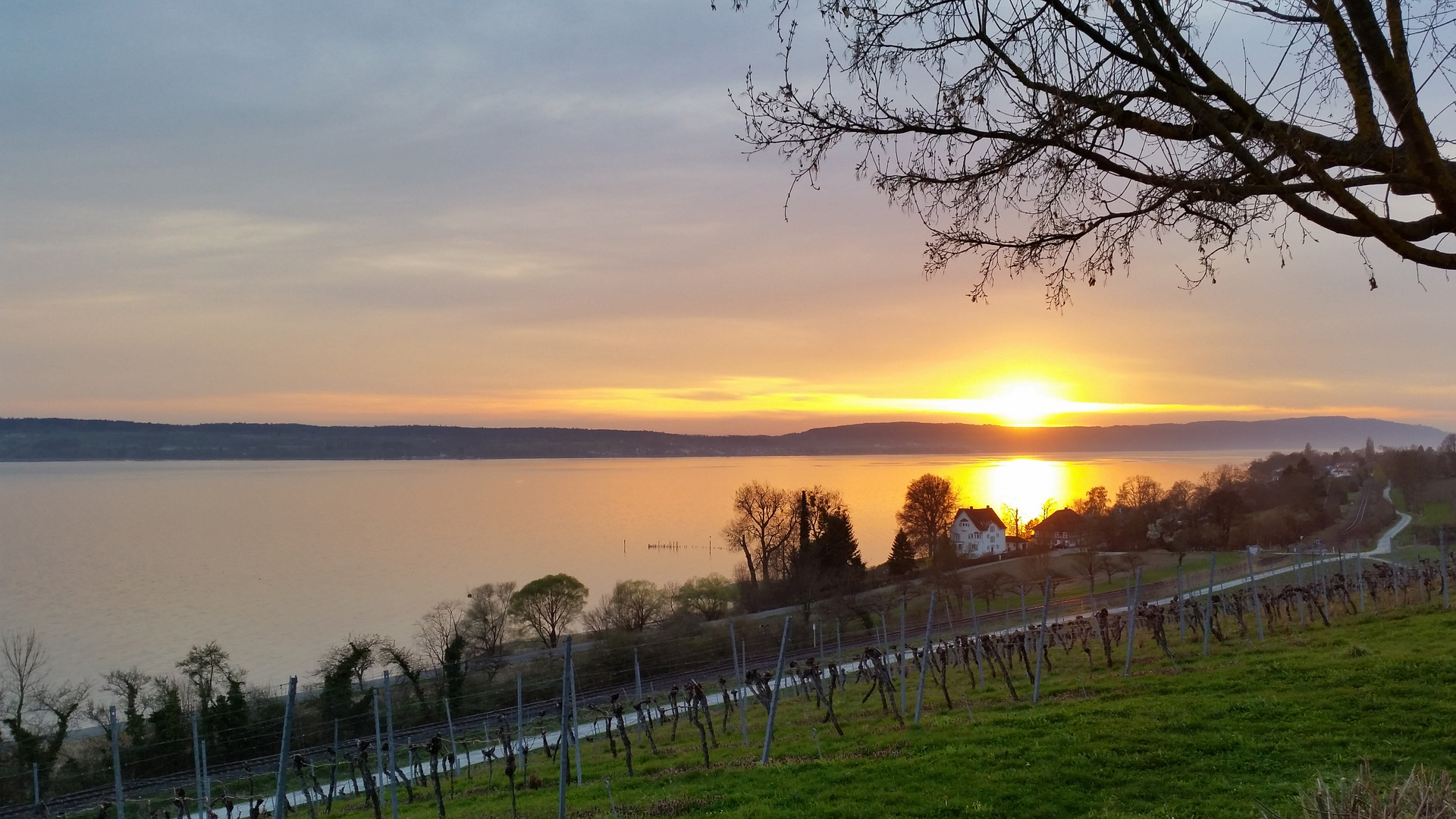 Sonnenuntergang am Bodensee