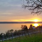 Sonnenuntergang am Bodensee