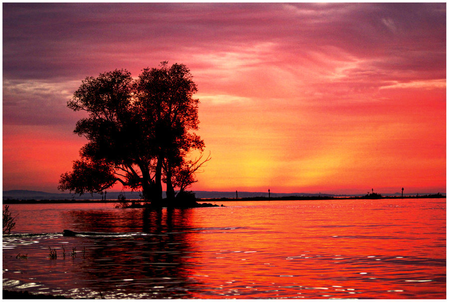 Sonnenuntergang am Bodensee