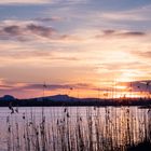 Sonnenuntergang am Bodensee