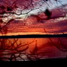 Sonnenuntergang am Bodensee