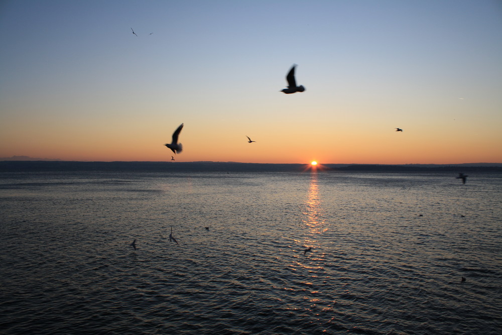 Sonnenuntergang am Bodensee