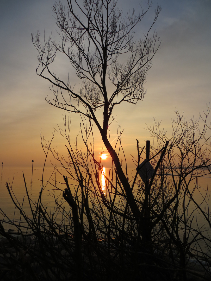 Sonnenuntergang am Bodensee