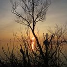 Sonnenuntergang am Bodensee