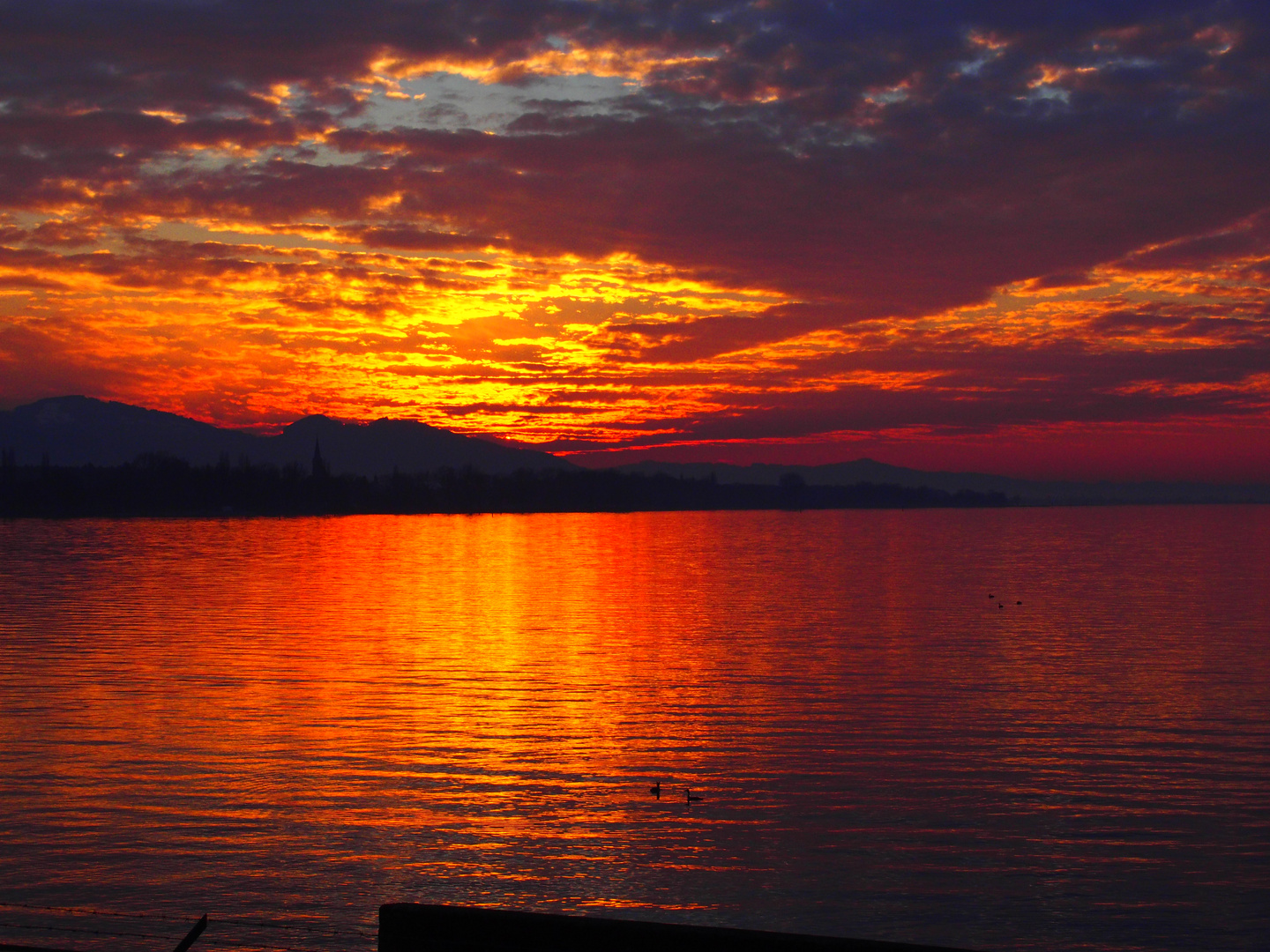 Sonnenuntergang am Bodensee