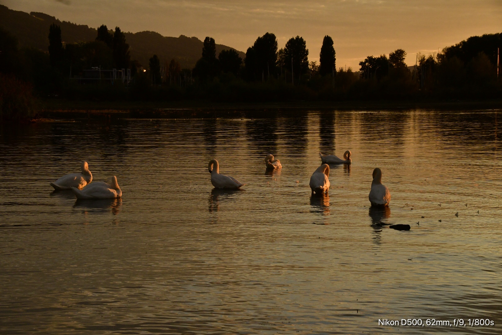 Sonnenuntergang am Bodensee