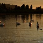 Sonnenuntergang am Bodensee