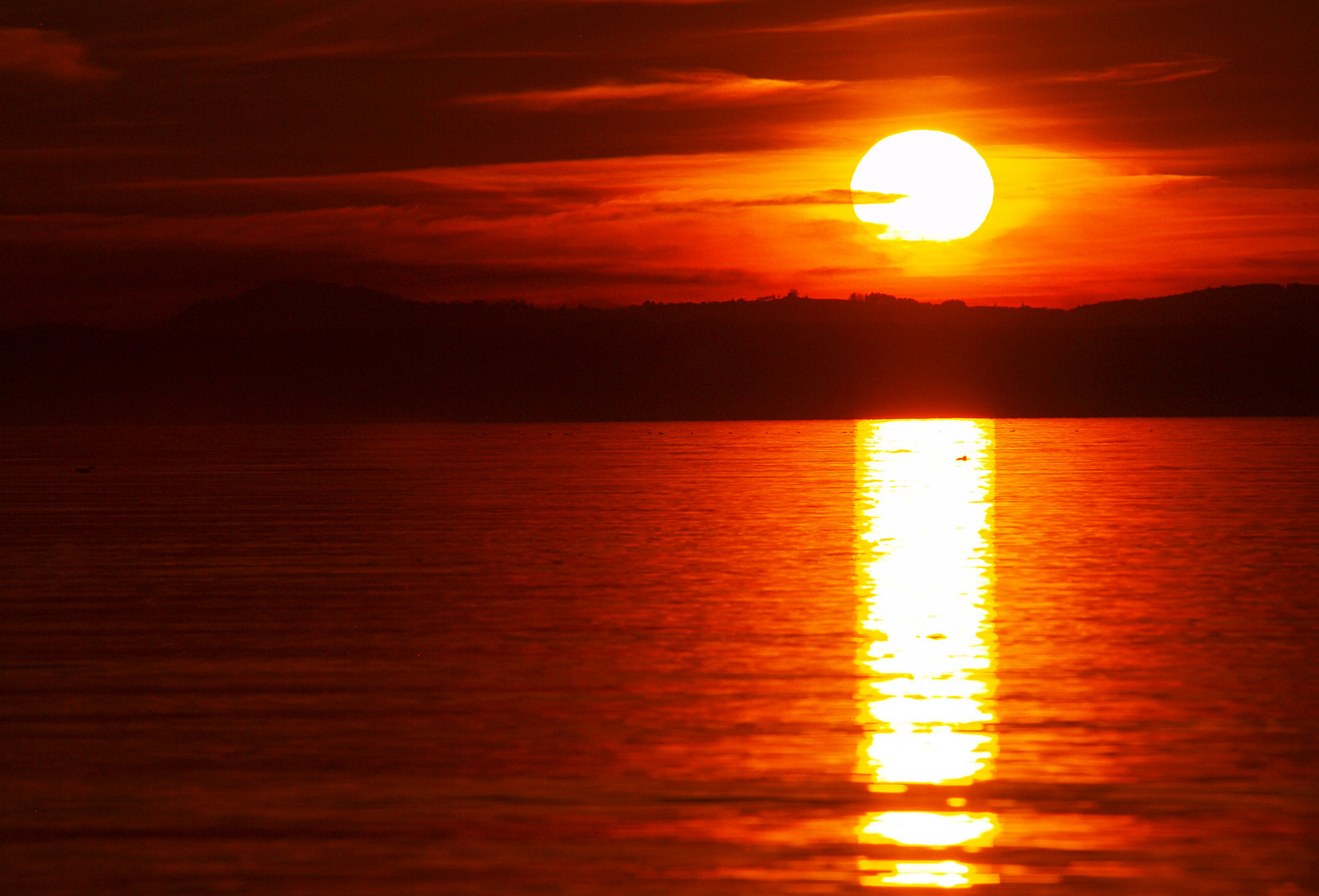 Sonnenuntergang am Bodensee