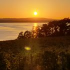 Sonnenuntergang am Bodensee