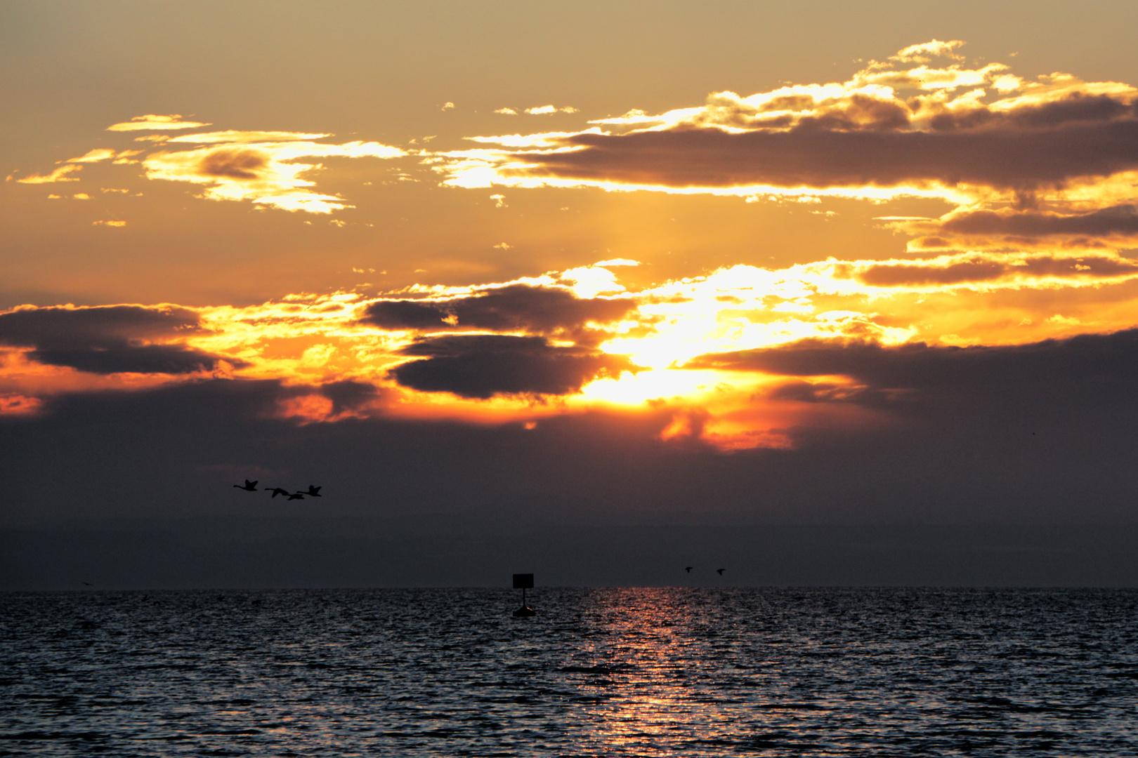 Sonnenuntergang am Bodensee