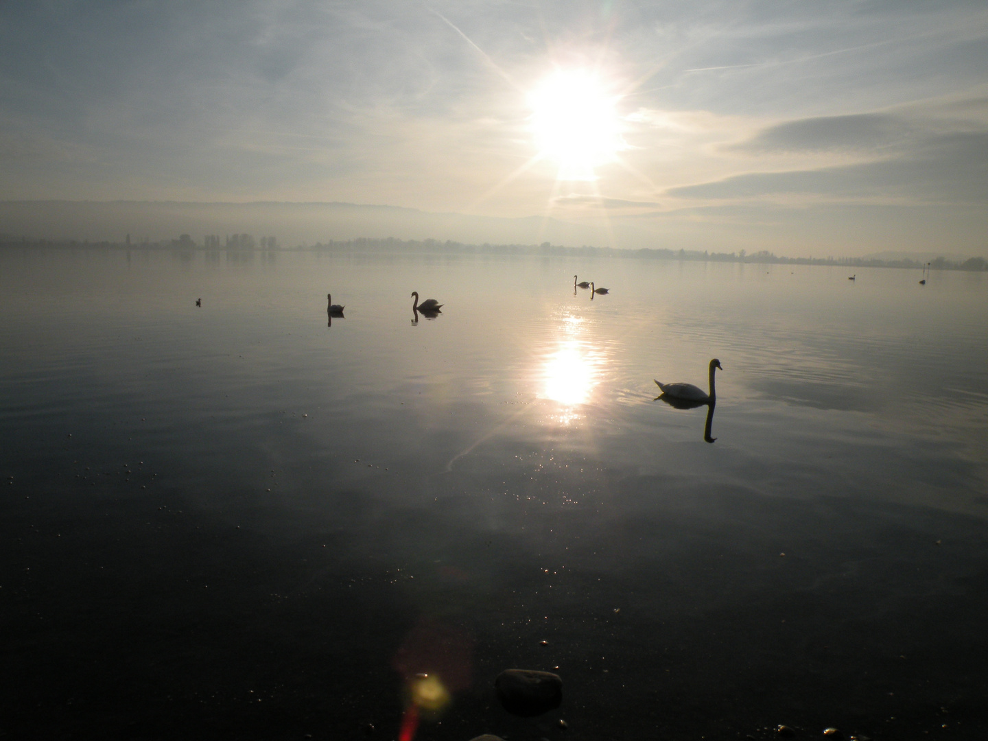 Sonnenuntergang am Bodensee