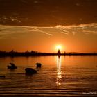 Sonnenuntergang am Bodensee