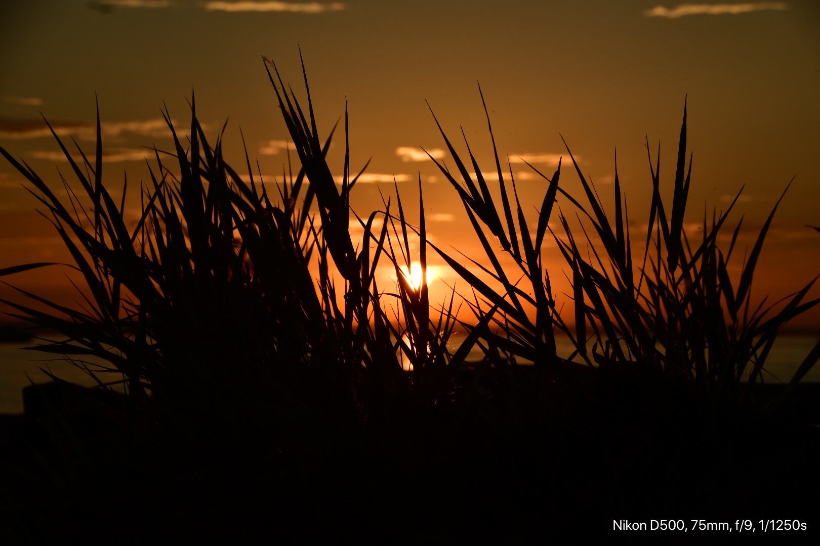 Sonnenuntergang am Bodensee