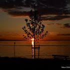 Sonnenuntergang am Bodensee 