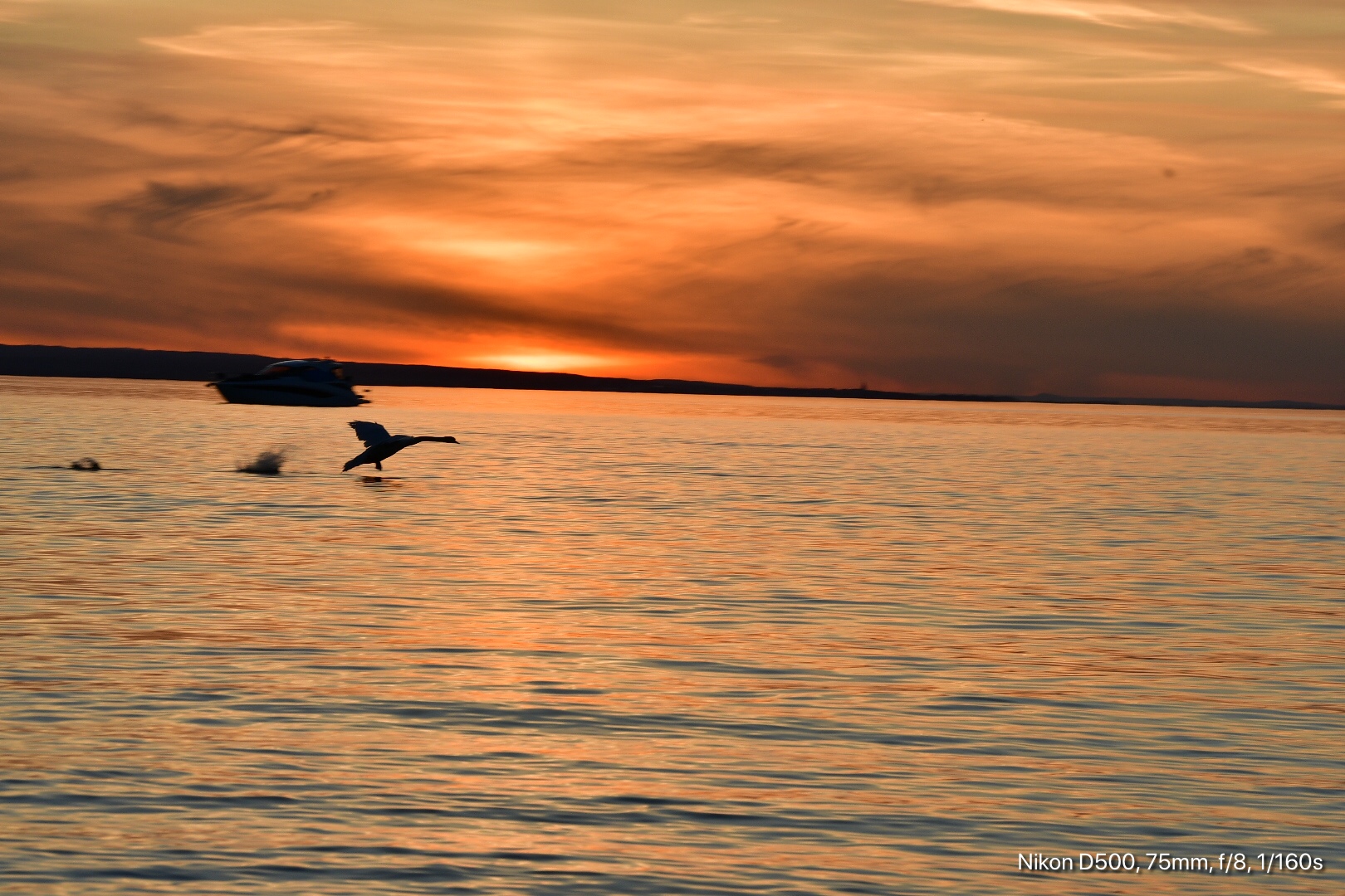 Sonnenuntergang am Bodensee