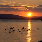 Sonnenuntergang am Bodensee