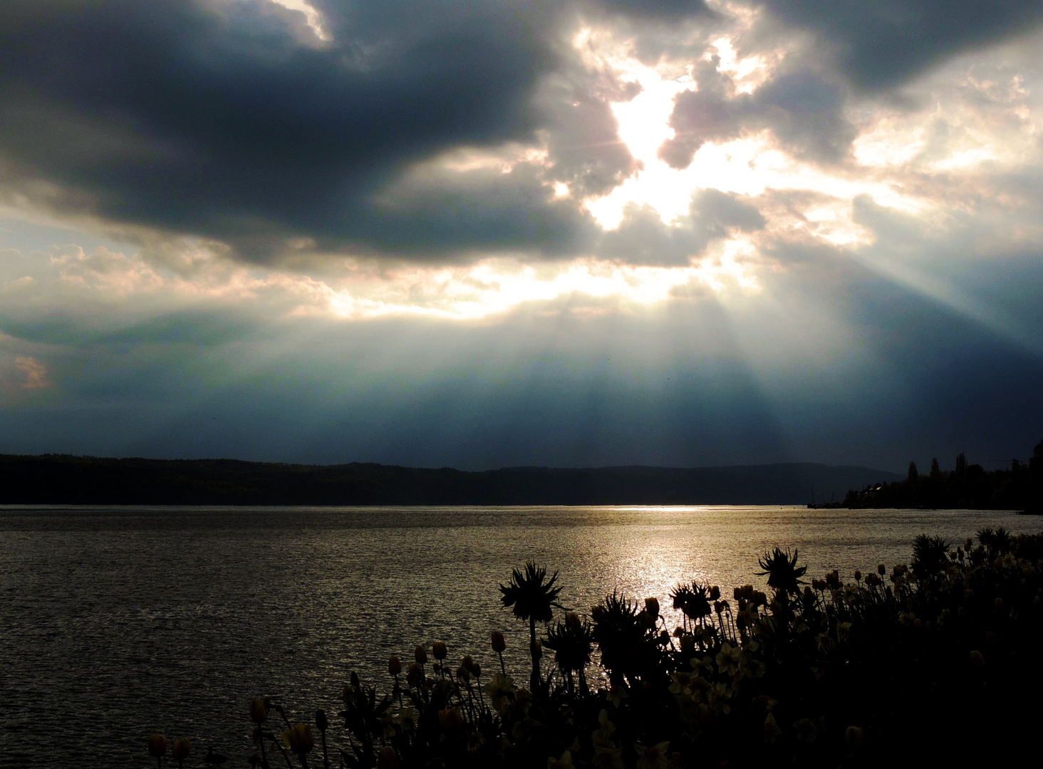 Sonnenuntergang am Bodensee I