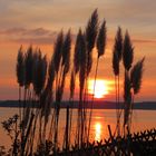 Sonnenuntergang am Bodensee (Meersburg)