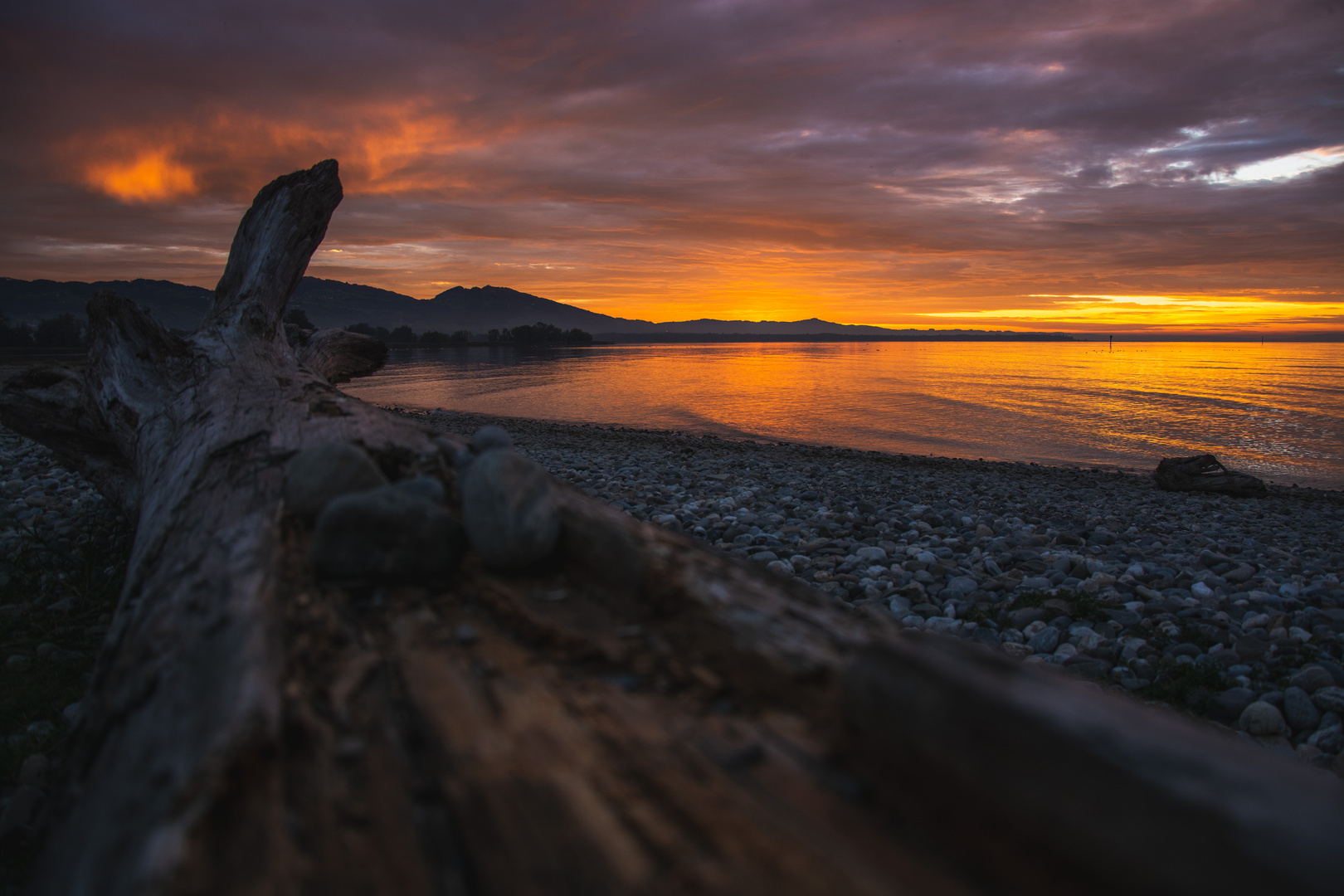 Sonnenuntergang am Bodensee / Rohrspitz