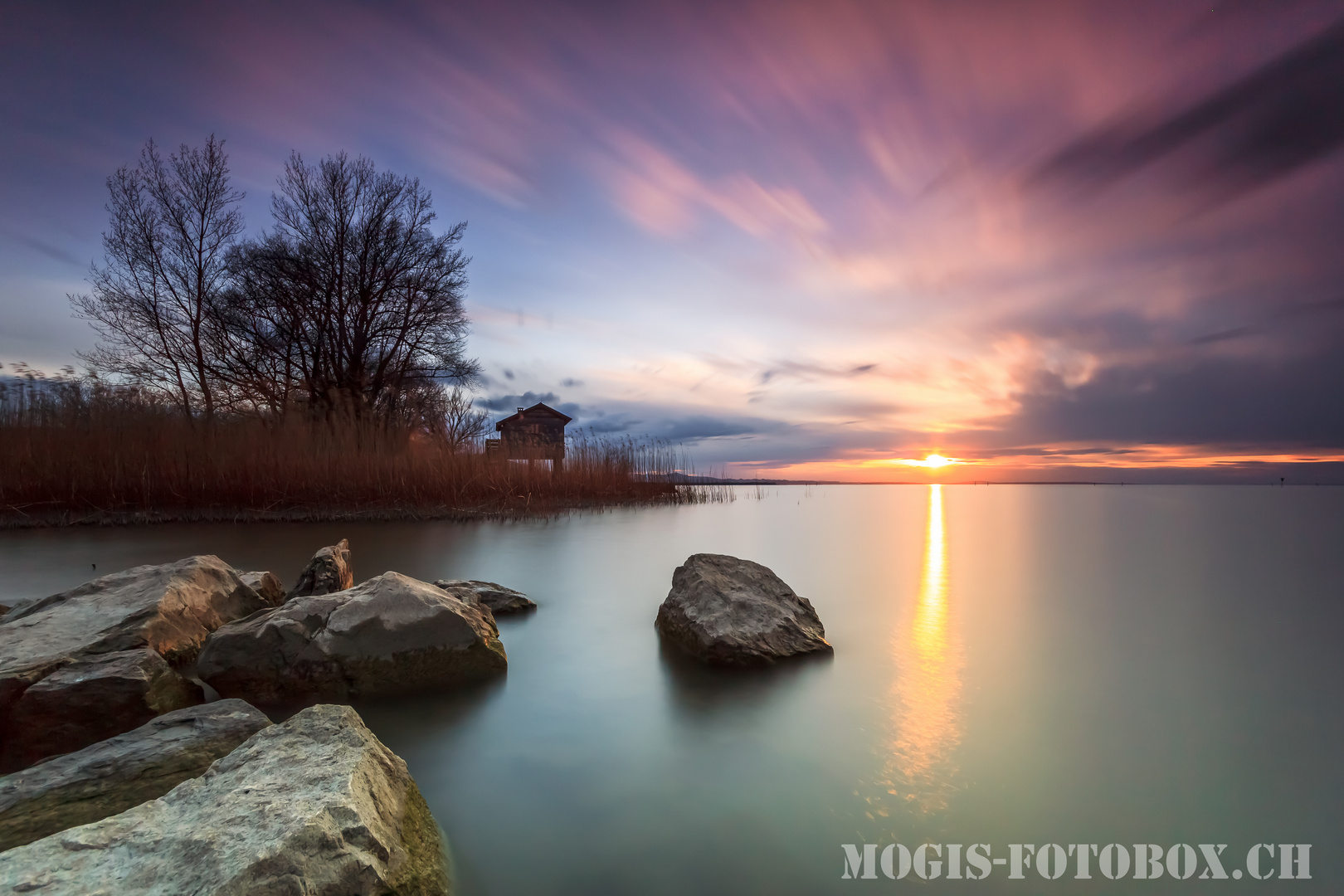 Sonnenuntergang am Bodensee (Rohrspitz) Foto & Bild landschaft, bach