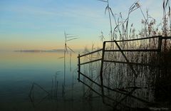 Sonnenuntergang am Bodensee/Untersee