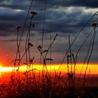 Sonnenuntergang am Böllat